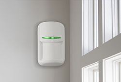 Detectoare wireless